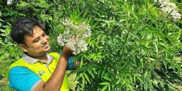 পলাশের সংগ্রহে আছে ৩৪৫ প্রজাতির গাছ